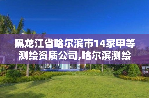 黑龍江省哈爾濱市14家甲等測繪資質公司,哈爾濱測繪公司招聘。