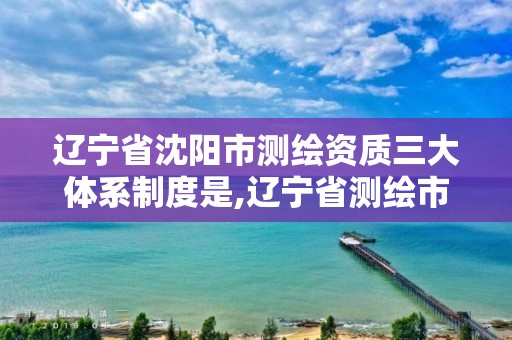 遼寧省沈陽市測繪資質三大體系制度是,遼寧省測繪市場管理辦法。