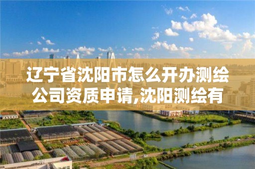 遼寧省沈陽市怎么開辦測繪公司資質申請,沈陽測繪有限公司