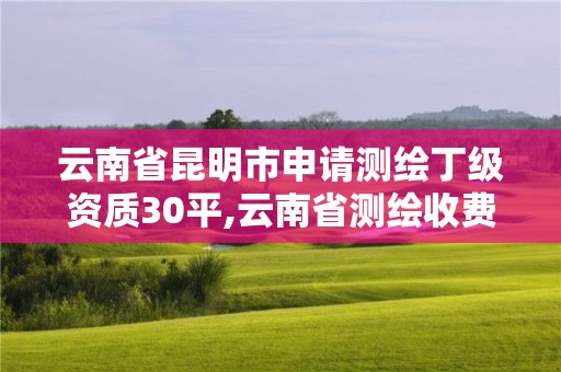 云南省昆明市申請測繪丁級資質(zhì)30平,云南省測繪收費標準