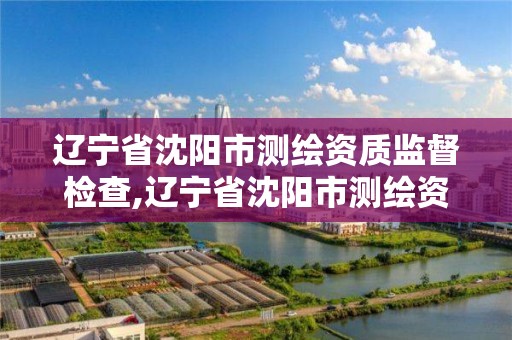 遼寧省沈陽市測繪資質監督檢查,遼寧省沈陽市測繪資質監督檢查中心電話