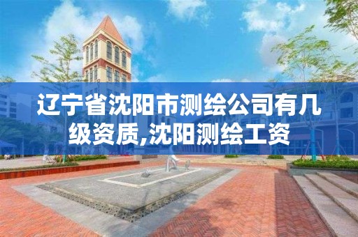 遼寧省沈陽市測繪公司有幾級資質(zhì),沈陽測繪工資