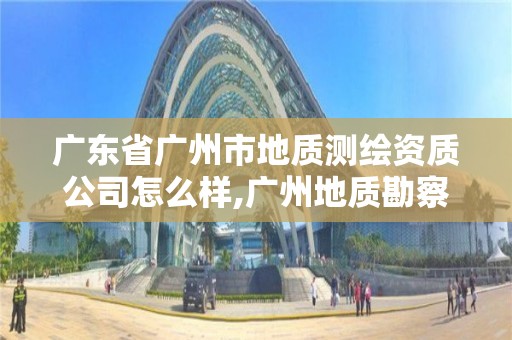 廣東省廣州市地質(zhì)測繪資質(zhì)公司怎么樣,廣州地質(zhì)勘察基礎(chǔ)工程公司資質(zhì)