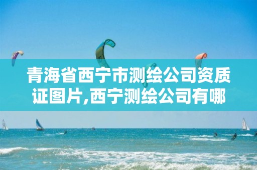 青海省西寧市測繪公司資質證圖片,西寧測繪公司有哪些