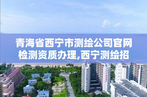 青海省西寧市測繪公司官網檢測資質辦理,西寧測繪招聘。