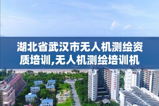 湖北省武漢市無人機測繪資質培訓,無人機測繪培訓機構