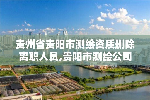 貴州省貴陽市測繪資質刪除離職人員,貴陽市測繪公司