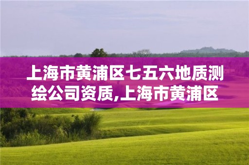 上海市黃浦區七五六地質測繪公司資質,上海市黃浦區七五六地質測繪公司資質公示。