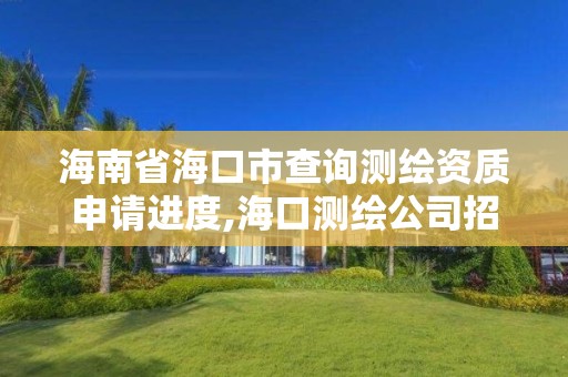 海南省海口市查詢測繪資質申請進度,海口測繪公司招聘