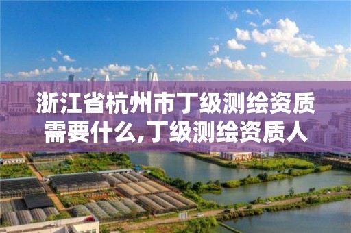 浙江省杭州市丁級測繪資質需要什么,丁級測繪資質人員要求。