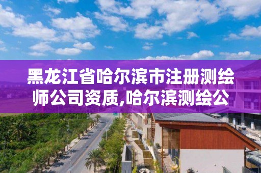 黑龍江省哈爾濱市注冊(cè)測繪師公司資質(zhì),哈爾濱測繪公司有哪些