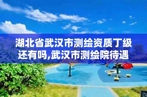 湖北省武漢市測繪資質丁級還有嗎,武漢市測繪院待遇