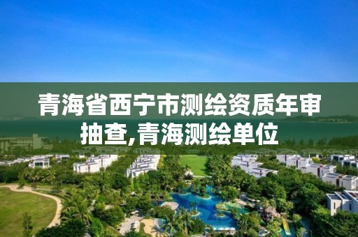 青海省西寧市測繪資質年審抽查,青海測繪單位