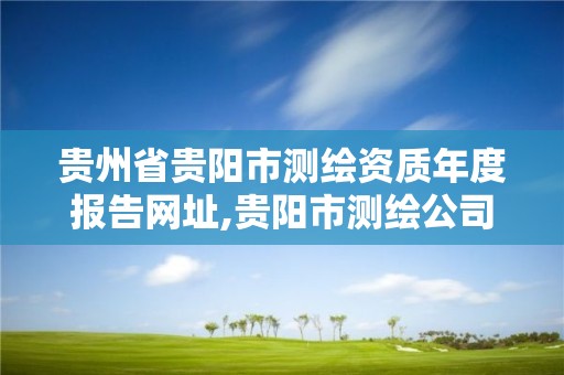 貴州省貴陽市測繪資質年度報告網址,貴陽市測繪公司