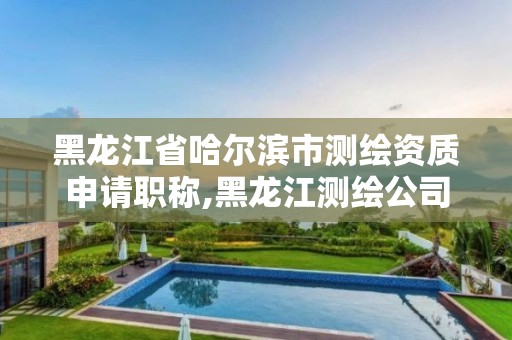 黑龍江省哈爾濱市測繪資質申請職稱,黑龍江測繪公司乙級資質