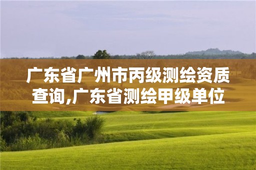 廣東省廣州市丙級(jí)測(cè)繪資質(zhì)查詢,廣東省測(cè)繪甲級(jí)單位