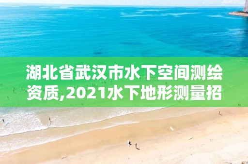 湖北省武漢市水下空間測繪資質,2021水下地形測量招標