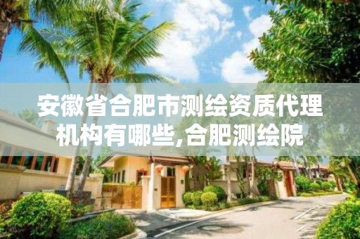 安徽省合肥市測繪資質代理機構有哪些,合肥測繪院