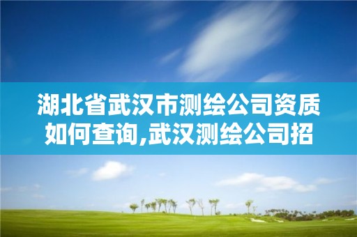 湖北省武漢市測繪公司資質(zhì)如何查詢,武漢測繪公司招聘