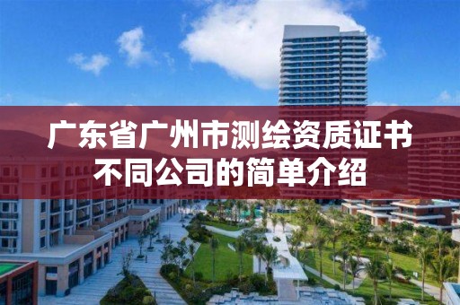 廣東省廣州市測繪資質(zhì)證書不同公司的簡單介紹