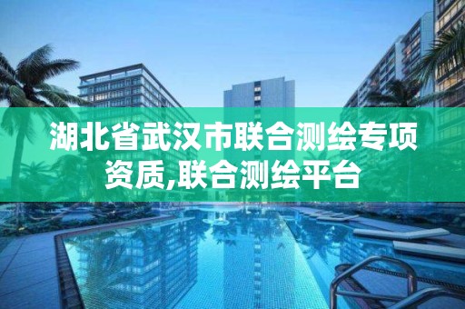 湖北省武漢市聯(lián)合測繪專項資質(zhì),聯(lián)合測繪平臺