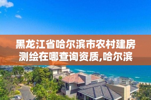 黑龍江省哈爾濱市農村建房測繪在哪查詢資質,哈爾濱市測繪公司