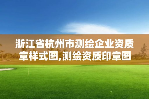 浙江省杭州市測繪企業資質章樣式圖,測繪資質印章圖片。