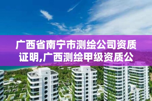 廣西省南寧市測繪公司資質證明,廣西測繪甲級資質公司