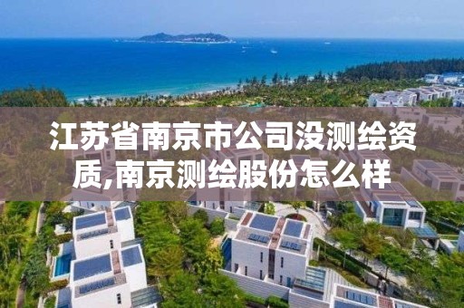 江蘇省南京市公司沒測繪資質,南京測繪股份怎么樣