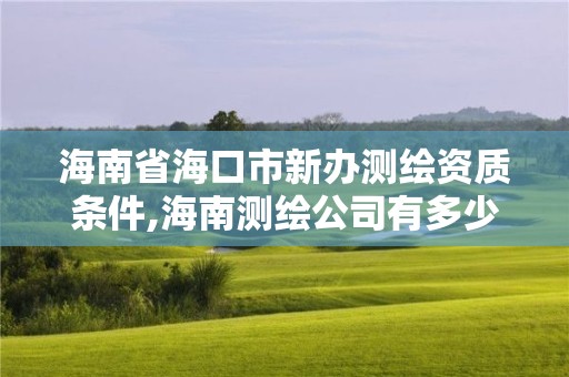 海南省?？谑行罗k測繪資質條件,海南測繪公司有多少家