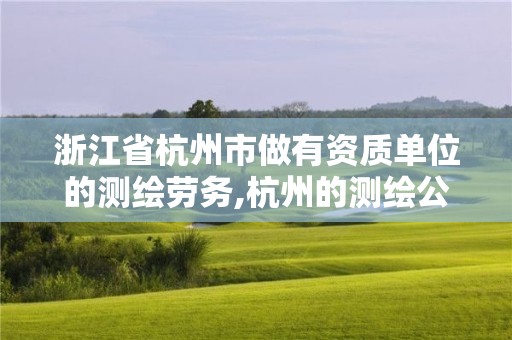 浙江省杭州市做有資質(zhì)單位的測(cè)繪勞務(wù),杭州的測(cè)繪公司有哪些。