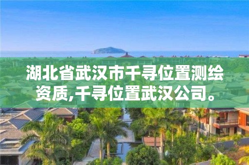 湖北省武漢市千尋位置測繪資質,千尋位置武漢公司。