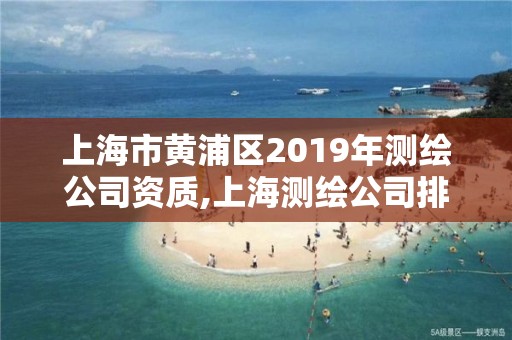 上海市黃浦區2019年測繪公司資質,上海測繪公司排名名單