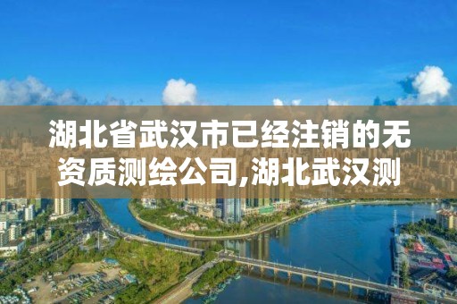 湖北省武漢市已經(jīng)注銷的無資質(zhì)測繪公司,湖北武漢測繪公司排行榜。