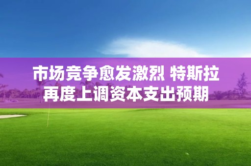 市場競爭愈發激烈 特斯拉再度上調資本支出預期