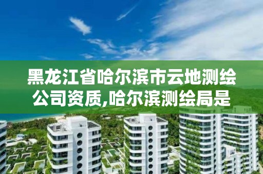 黑龍江省哈爾濱市云地測繪公司資質,哈爾濱測繪局是干什么的