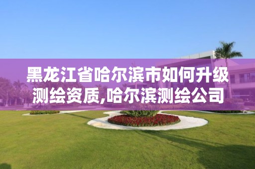 黑龍江省哈爾濱市如何升級測繪資質,哈爾濱測繪公司電話