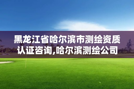 黑龍江省哈爾濱市測繪資質(zhì)認證咨詢,哈爾濱測繪公司電話