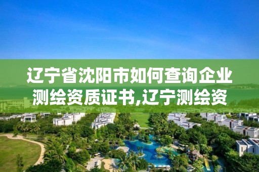 遼寧省沈陽市如何查詢企業測繪資質證書,遼寧測繪資質管理系統登錄。