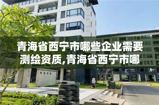 青海省西寧市哪些企業需要測繪資質,青海省西寧市哪些企業需要測繪資質的