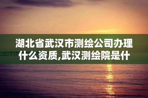 湖北省武漢市測繪公司辦理什么資質,武漢測繪院是什么級別