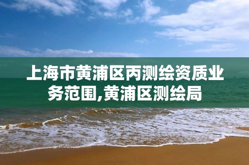 上海市黃浦區丙測繪資質業務范圍,黃浦區測繪局