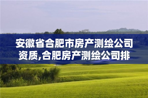 安徽省合肥市房產測繪公司資質,合肥房產測繪公司排名。