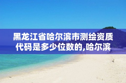 黑龍江省哈爾濱市測繪資質代碼是多少位數的,哈爾濱測繪地理信息局。