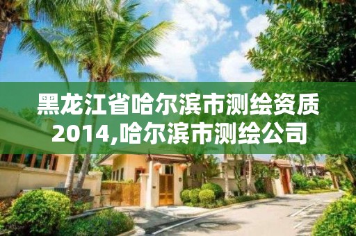 黑龍江省哈爾濱市測繪資質(zhì)2014,哈爾濱市測繪公司