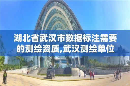 湖北省武漢市數據標注需要的測繪資質,武漢測繪單位