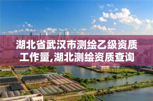 湖北省武漢市測繪乙級資質(zhì)工作量,湖北測繪資質(zhì)查詢。