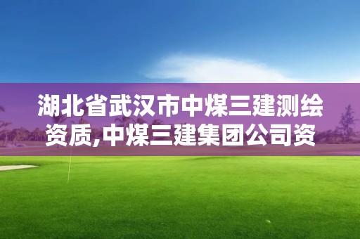 湖北省武漢市中煤三建測繪資質,中煤三建集團公司資質。