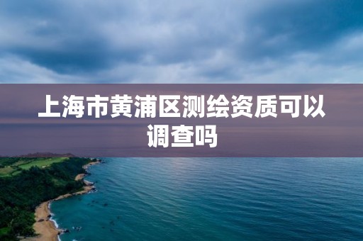 上海市黃浦區測繪資質可以調查嗎