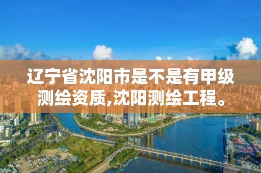 遼寧省沈陽市是不是有甲級測繪資質(zhì),沈陽測繪工程。